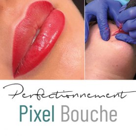 Perfectionnement Pixel Bouche