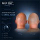 Formation Micropigmentation Capillaire