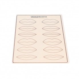 Support Synthétique Vierge