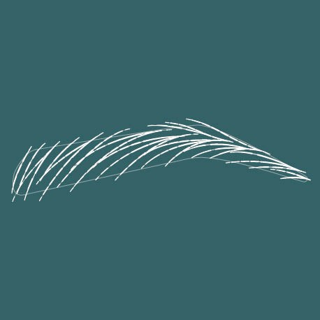 Sourcils Hyperréalistes
